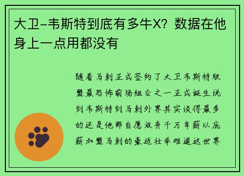 大卫-韦斯特到底有多牛X？数据在他身上一点用都没有